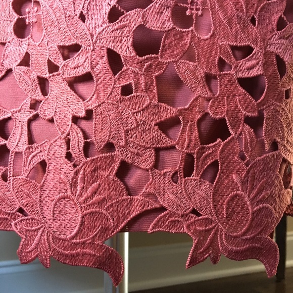 ✨ANTONIO MELANI Lace Midi Dress - Picture 4 of 8